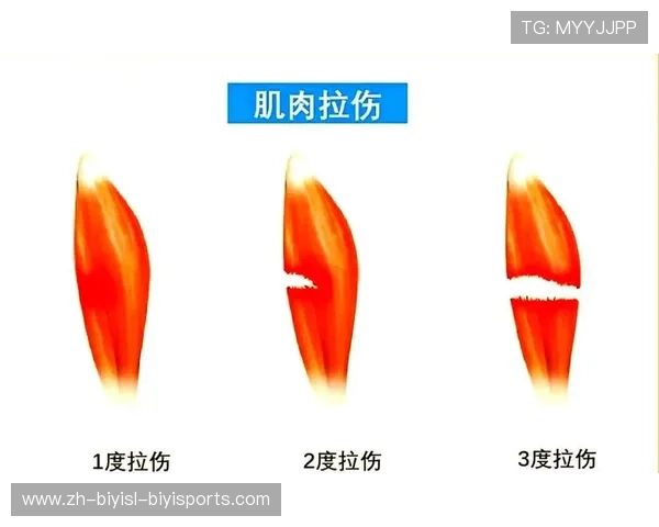 篮球运动员如何在赛季中科学管理身体状态以避免运动损伤